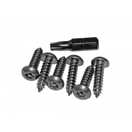 Security Fixing Pack 1 - 10 x 3/4" security screws + key (desk install)